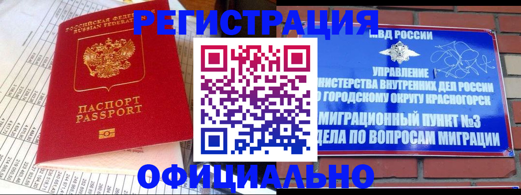 прописка поиск в Ростове